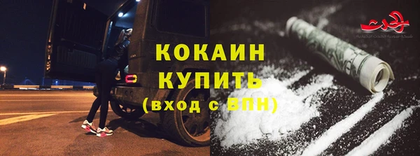 тгк Алзамай