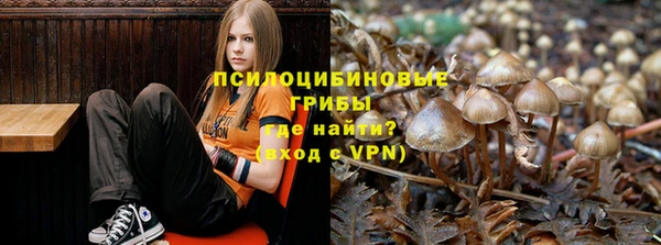 твердый Алексин
